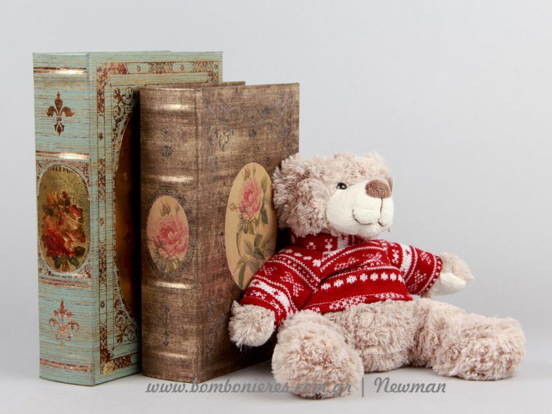 κουτιά βιβλία και λούτρινο αρκουδάκι koutia vivlia loutrina arkoudakia